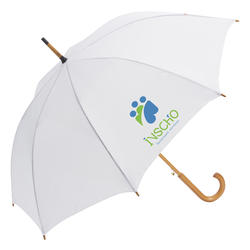 The Fashion - Auto Open Stick Umbrella